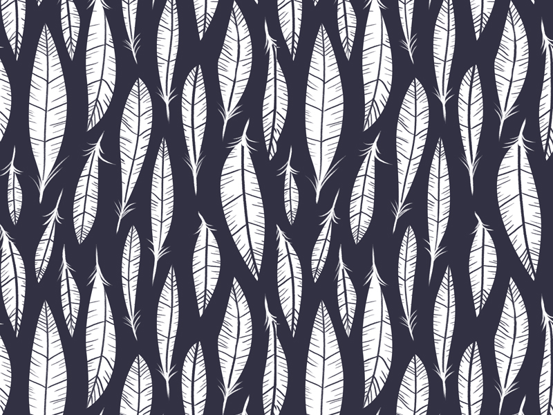 Quail Feathers by Kate Moore on Dribbble