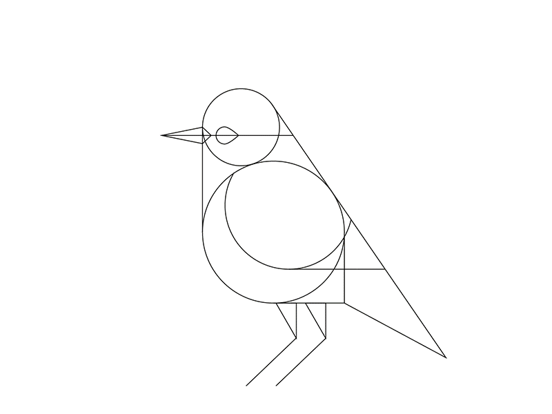 Bird Process {GIF}