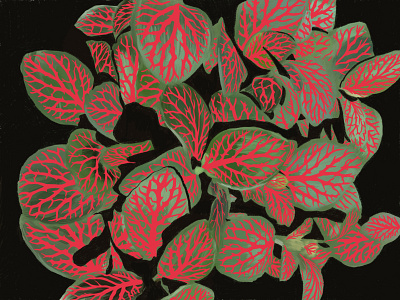 Fittunia design feuille fleur floral flower flowers green illustration leaf nature procreate red rouge vein vert