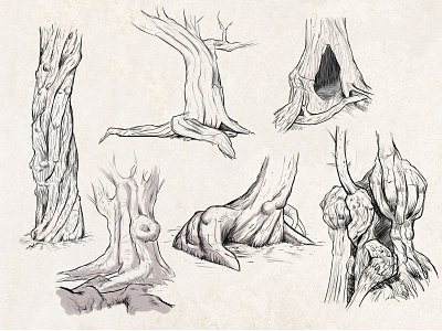 Sketches: Trees #1 drawing illustration lineart nature sketch sketches trees