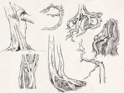 Sketches: Trees 3 art drawing illustration inktober inktober2019 lineart nature sketch sketches trees
