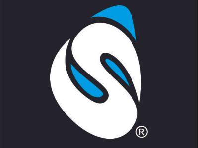 S Letter Branding Logo