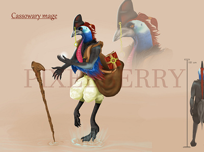 Cassowary mage bird book character character design characterdesign design feather illustration