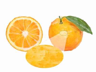 high detailed Acrylic hand paint of Orange fruit acrylic digital painting fruit illustration orange paint