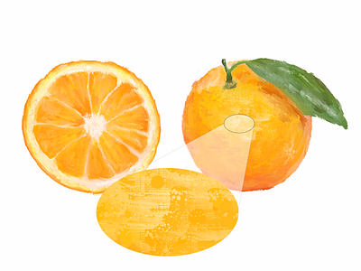 high detailed Acrylic hand paint of  Orange fruit