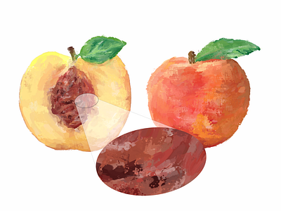 high detailed Acrylic hand paint of Peach fruit