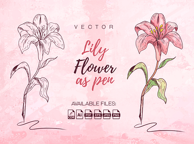 Lily Flower as Pen flower illustrator lily pen