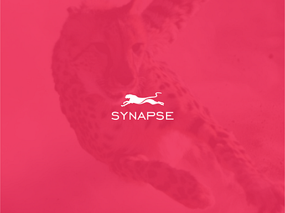 synapse