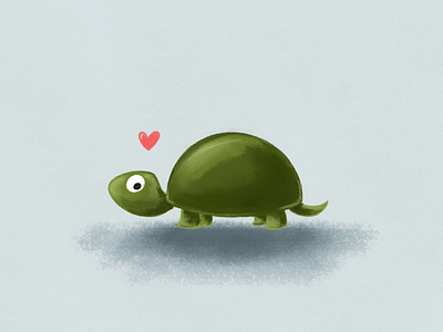 turtle illustration turtle