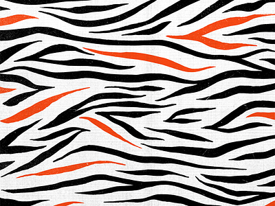 zebra animal animal print paint pattern stripes texture zebra