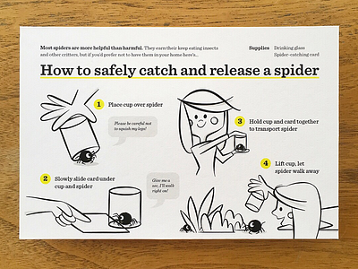 Spider Catcher Postcard cartoon illustration postcard science spider