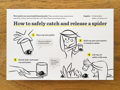 Spider Catcher Postcard