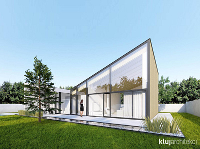 Single family house architecture architecture design visualization