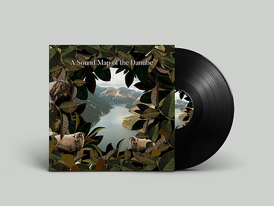 A Sound Map of the Danube collage design digital vynil
