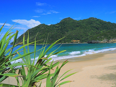 Relaxing Video of Tropical Beach with Blue Sky White Sand