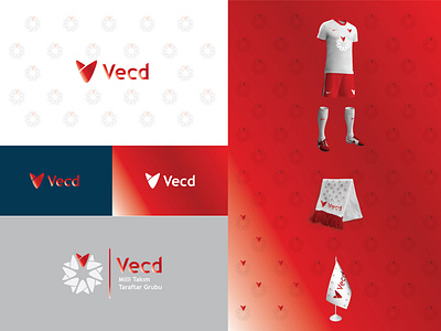 Vecd // Brand Identity // Logo