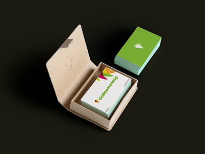 GoBoomerang Branding