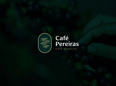 Visual identity Café Pereiras brand design branding design identity identity branding identity design logo logo design minimal typography