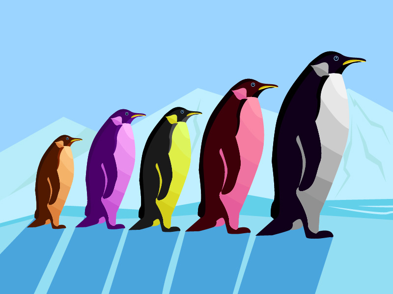 colorful penguins by artodidact on Dribbble