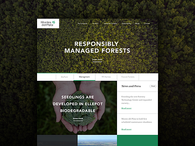 Forestry Web clean company forest grid interface layout modern uiux user web
