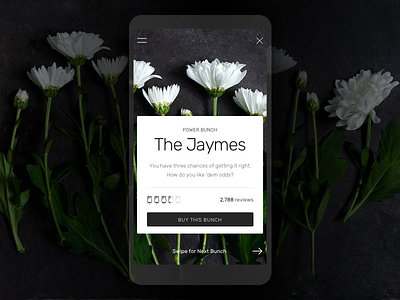 Flowers on-demand app ecommerce flower interface ios ui ux