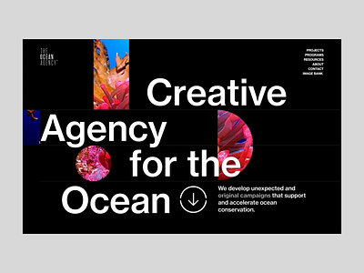 Ocean agency - home page load and scroll animation blue creative design interactive interface loading loading screen motion scroll typography ui web web design website