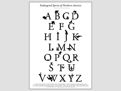 Animal Alphabet animals design dipping graphic illustration ink pen typography