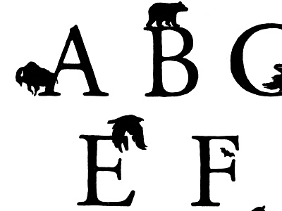 ABEF animals design dipping graphic illustration ink pen typography