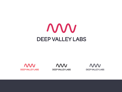 Deep Valley Labs Logo Concepts branding branding and identity color schemes concepts design logo startup