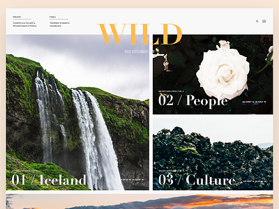 Documentary Layout blog bright documentary homepage nature navigation photography typography ui video website