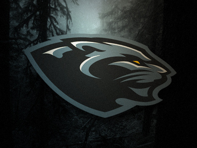 Prowlers charlotte fictional football logo night panther prowlers shadow sports team ufl