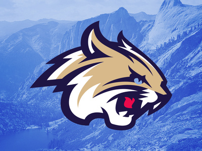 Bobcat
