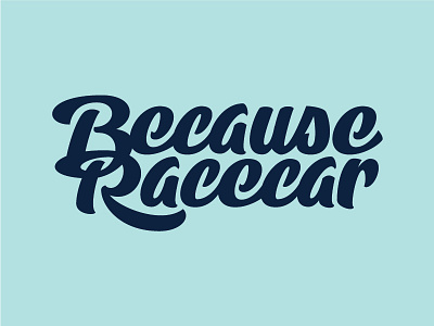 Because Racecar bezier beziercurves handles lettering script type typography