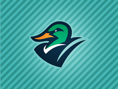 Ducks by Zilligen Design Studio on Dribbble