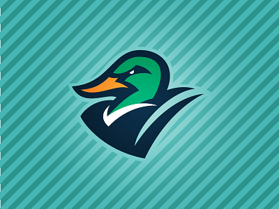 Ducks baseball bird duck illustration logo sports