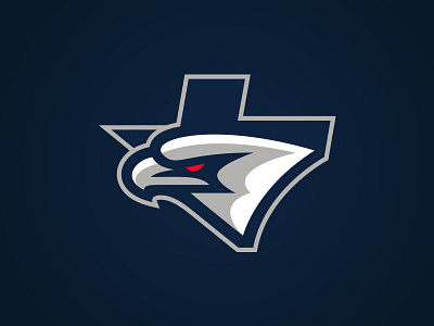 Eagle dallas eagle icon illustration logo sports state texas