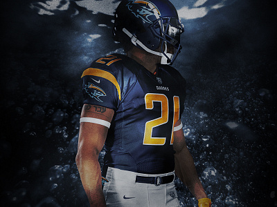 Florida Sharks Uniform design florida football sharks sports sports branding theuflproject typography uniform