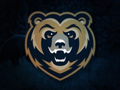 Memphisgrizzlies designs, themes, templates and downloadable graphic  elements on Dribbble