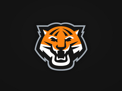 Tiger design illustration logo sports sports branding vector