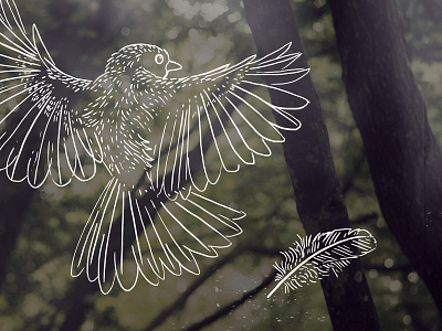 Uncharted - Bird illustration photography
