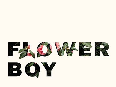 Flower Boy adobe photoshop typography