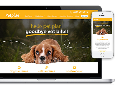 Petplan Mockup