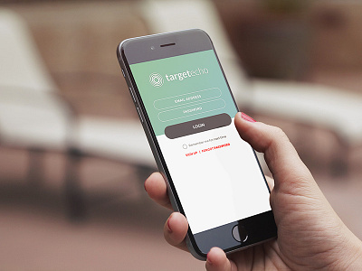 TargetEcho - UI/UX Design & Identity Package