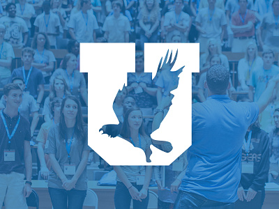 Eagle University - Youth Success Program bird blue branding eagle green identity logo program school seminar university youth