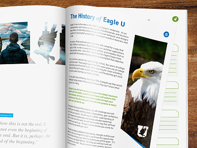 Eagle U 100 Page Student Manual bird blue branding eagle green identity logo program school seminar university youth