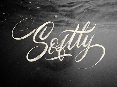 Softly calligraphy design handlettering handwriting lettering type typo typography