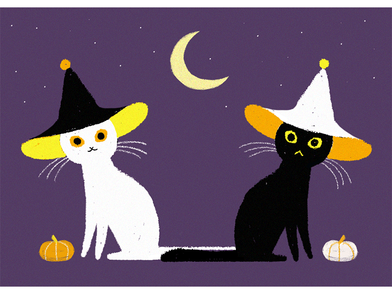 Happy Meowlloween art cat digital gif halloween illustration illustration art illustration digital spooky