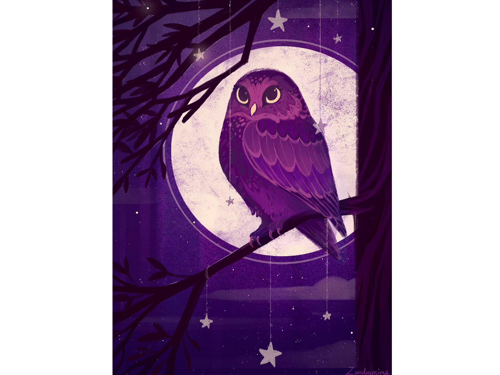 Night Owl adobe adobe photoshop animal animation art digital gif illustration moon owl stars