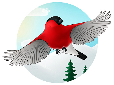 Bullfinch - Action Shot (03) bird bird illustration bird wings birds bullfinch colorful art digital art digital artwork digital drawing drawing flying bird graphic design illustration illustrator nature art red bird sky sunny landscape vector vector art