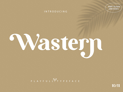 Wastern Playfull Typeface branding chic font lettering logo modern otf sans serif serif font ttf typeface unique